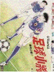 资讯配图：城市菜市场清晨摊位的纪实画面